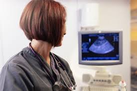 Contact our vets to schedule a diagnostic ultrasound in raleigh. Affordable Vet Ultrasound Services In Dubai Pet Clinic In Dubai