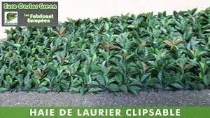Ecran de verdure ecran15 195 brins euro castor green rouleaux de 1.5 x 3 metres cette haie d'aspect naturel couleur vert thuya est idéale sur un balcon, une terrasse ou… ecran de verdure euro20 195 brins euro castor green rouleau de 2x3 metres.﻿ Haie De Laurier Rose Clipsable Haie Artificielle Brise Vue Occultant Canisse Cloture Youtube