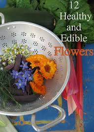 Food monster app newsletter support us. 12 Edible And Healthy Flowers The Peaceful Haven Healthy Flowers Edible Flowers Edible