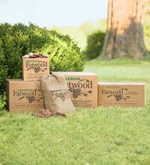 Maybe you would like to learn more about one of these? Timberline Wood Burning Fire Pit Plowhearth