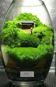 Terrarium Complete Care Guide How To Build Bantam Earth Terrarium Garden Terrarium Terrarium Plants