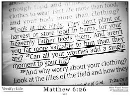 Look At The Birds Of The Air Nlt Matthew 6 26 Versify Life Bible Quotes Heavenly Father Words Of Encouragement