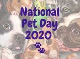National craft for your local shelters day. Pet Day 2020 National Pet Day Wishes Messages Greetings Quotes Sayings Status Smartphonebio Com