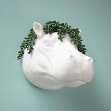 shop hippo head planter wall white by moose harry the is a hung animal hanging plants shower plant planters indoor metal hanger