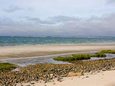 93 Best Brewster Cape Cod Images Cape Cod Bay Cape Cod Cape