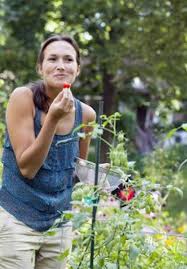 Que Faire Au Jardin En Juin Avec Images Jardins Fleurs Juillet Idees Jardin