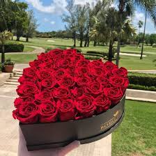 We did not find results for: Real Long Lasting Roses Heart Shaped Box Lasts Over 1 Year