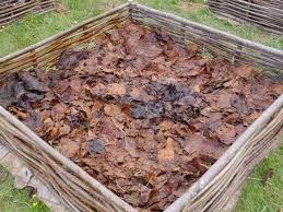 Un jardin en lasagne.pdf (104.25 mb). Lasagna Bed Ou Pourquoi J Ai Mis Des Lasagnes Dans Mon Potager Le Jardin D Une Gourmande Paresseuse Jardin Potager Potager Jardins