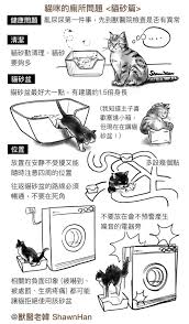 插畫】為什麼我的貓不在貓砂上廁所？ - TNL The News Lens 關鍵評論網