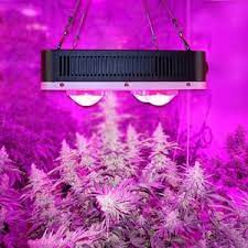 Led, incandescent, halogen, ballasts, fluorescent China Eshine Growsun Ii Cob Led Grow Light Best Selling Product Dimmable Full Spectrum Led Grow Light For Hydroponic Greenhouse Planting Medical Plants Wholesales China Cob Led Grow Light Led Plant