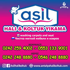 Asil Hali Koltuk Yikama Home Facebook