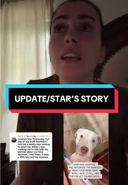 Nunca me rendiré en la adopción de perros de refugio