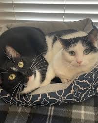 Center for the Performing Arts