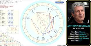 pin by astroconnects on famous cancers birth chart sun