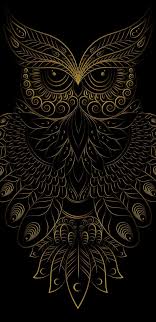 Dihalaman ini anda akan melihat gambar burung keren 3d yang ! Maravind 7262 Maravind7 Profile Pinterest