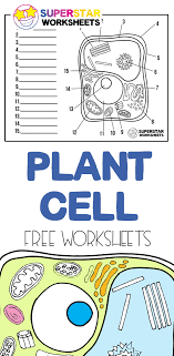 How to identify a plant cell. Pin On Ultimate Homeschool Board