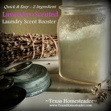 scent booster for your laundry