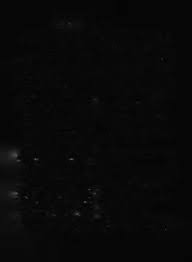 Image result for Isachne kiyalaensis