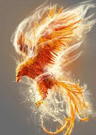 Phoenix Metal Poster Print Alfonso Navas Displate Phoenix Tattoo Design Phoenix Tattoo Phoenix Artwork