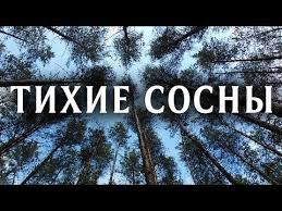 72 часа 2016 смотреть фильм онлайн в хорошем качестве Tihie Sosny Film 2009 Detektivnaya Melodrama Russkie Serialy Youtube Filmy Serialy Horoshie Filmy