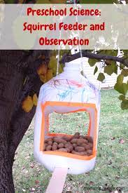 These diy squirrel feeder ideas will not only do that if you're a diy enthusiast, this basic feeder design is an easy project. Nuts To You Book Activity Squirrel Feeder