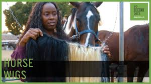 Horsehair is the long hair growing on the manes and tails of horses. She Makes Wigs For Horses Youtube