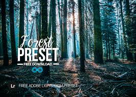 Rumus lightroom dark moody ini sangat cocok untuk foto berjenis foto selfie , karena menonjolkan bagian obyek utama. Free Forest Woodlands Lightroom Preset By Photonify