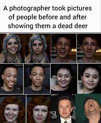 Pin On Elon Musk Memes