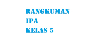 Proses tumbuhan hijau mengolah makanan. Rangkuman Materi Pelajaran Ipa Sd Mi Kelas V