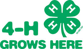 You will receive a premium payment based on your ribbon placing at the revue. 4 H More Fun Recipes Updated Dairy Poster Contest