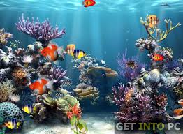 Select from one of the 3d screensavers or pc games below and then click on the download button to start free download on your computer. Aquarium 3d Screensaver Free Download