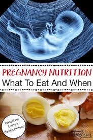 What To Eat And When Based On Baby S Development