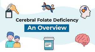 Image result for Folate Deficiency
