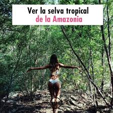 10 Cosas Que Debes Hacer Cuando Vas A Brasil Mujer De 10 Guia Real Para La Mujer Actual Enterate Ya Palacio De Verano Selvas Tropicales Viaje En El Tiempo