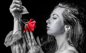 Beauty and I think the...