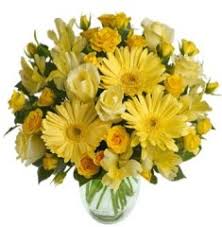 Regalare un mazzo di fiori a qualcuno è uno dei gesti più calorosi e apprezzabili che possano esserci. Bouquet Tutto Giallo Con Gerbere Rose Astromerie Verde