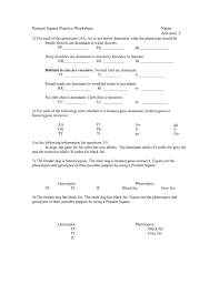 Punnett square practice quiz & answers to learn » quizzma apr 04, 2020we thoroughly check each answer to a question to provide you with some of the worksheets for this concept are more punnett square practice 11, punnett square work, practice with monohybrid punnett squares. Punnett Square Practice Worksheet