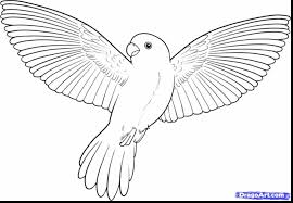 Click on any birds picture above to start coloring. Beautiful Birds Drawing Pictures Max Installer
