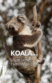 See, the power of your middle finger dropped my phon. Koala Look How Fabulous I Am Bumper Sized Funny Quote Notebook 150 Pages Lined Journal Perfect Gift For Co Workers And Animal Lovers Parrish Richie 9798638931575 Amazon Com Books