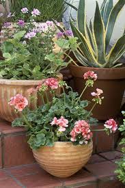 For a rustic, weathered look, try the dry brush paint technique, leaving some of the wood from the shims exposed. 16 Container Gardening Ideas Potted Plant Ideas We Love