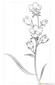 But the optimal butterfly garden requires a slightly different design from that of the hummingbird garden. 30 Flower Drawing Tutorials Flower Drawing Tutorials Plant Drawing Flowers Sketch