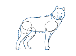 How To Draw A Wolf Dr Odd Drawings Animal Drawings Wolf Drawing