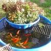 A rusted truck has become a water feature and garden planter in this spacious garden. 1