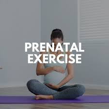 women s and postpartum exercise