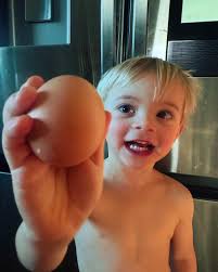 Introducing new surprise baby chicken arrival