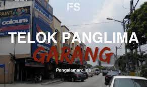 Sk telok panglima garang merupakan salah sebuah sekolah subsidi oleh kerajaan malaysia. Telok Panglima Garang Fiksyen Shasha