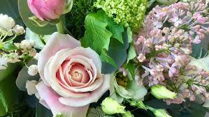 We did not find results for: The Fresh Flower Company Beautiful Flowers Naturally Styled For All Occasions