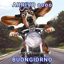 Pin Di Chatrina Louise Su Buongiorno In Ritardo Auguri Di Compleanno Buon Compleanno Frasi Buon Compleanno