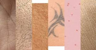 61 Free Human Skin Textures Rockthe3d Skin Textures Human Skin Texture Texture