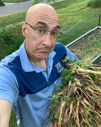 Really good harvest of peas, and many many more to come! And the little  round carrots are soo tasty. Midges tonight were fiendish, bitten half to  death! Tips?